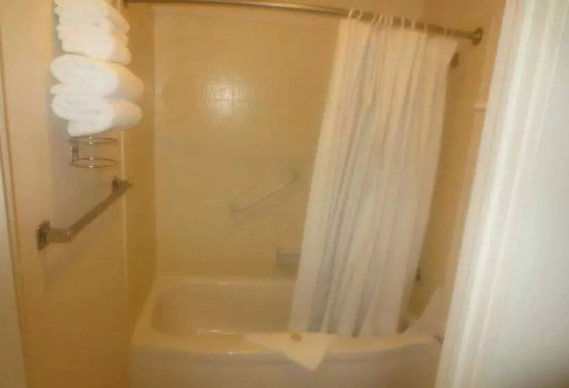Hotelli Downtowner Inn