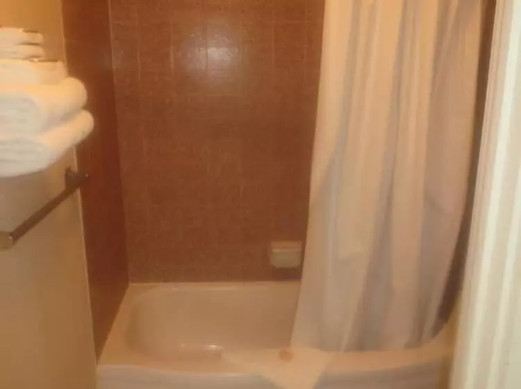 Hotelli Downtowner Inn