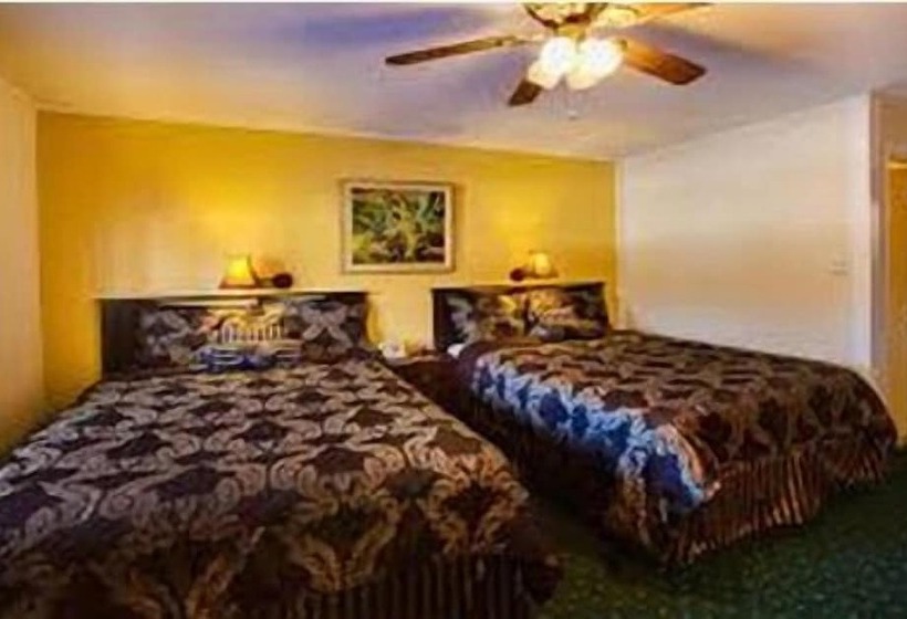 فندق Downtowner Inn