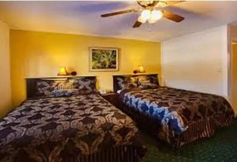 Hotelli Downtowner Inn
