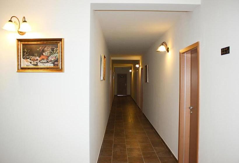 هتل Dusan Si Fiul Resita Nord