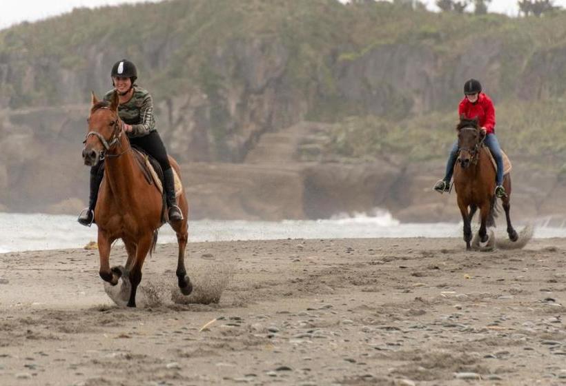 Hotel Hydrangea Cottages