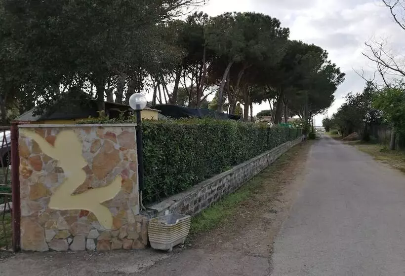 Hotelli Paradiso