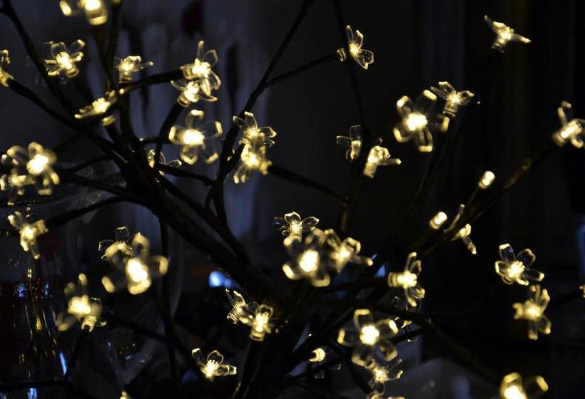 בית מלון כפרי Pod Dębem