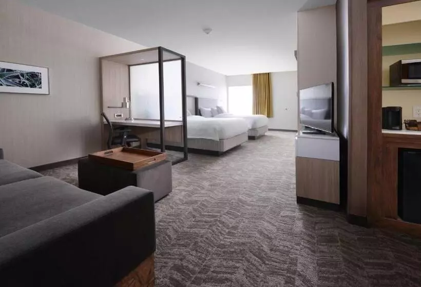 Hotelli Springhill Suites By Marriott San Antonio Northwest At The Rim