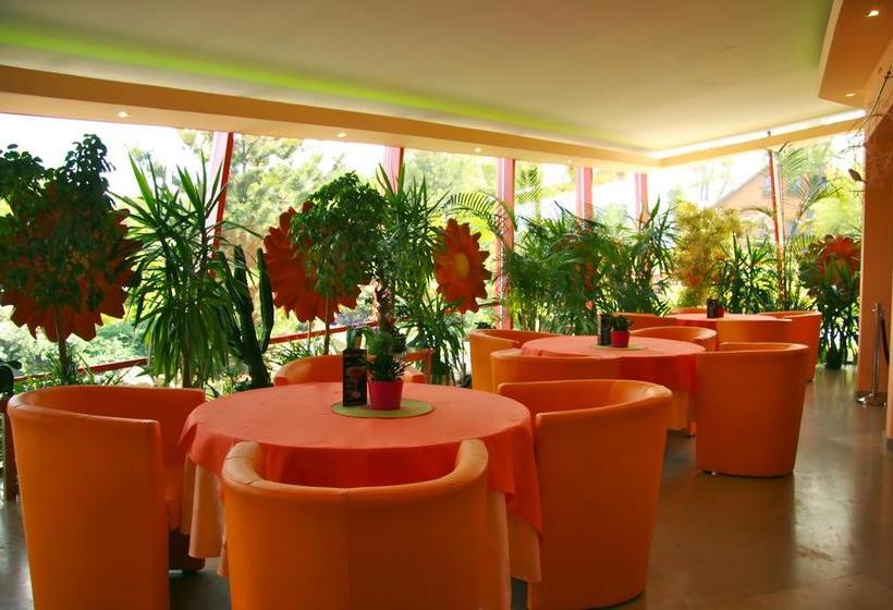 בית מלון כפרי Tango