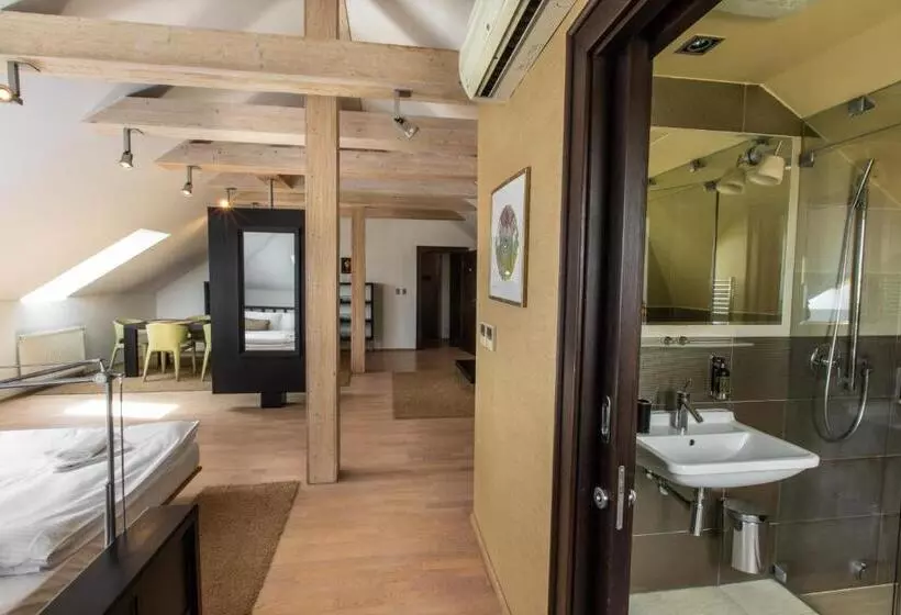 هتل Villa Nečas žilina