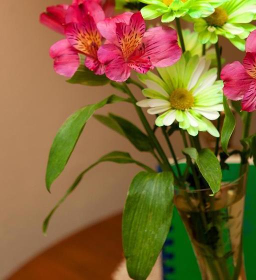 ホテル Westphal Mansion Inn Bed & Breakfast