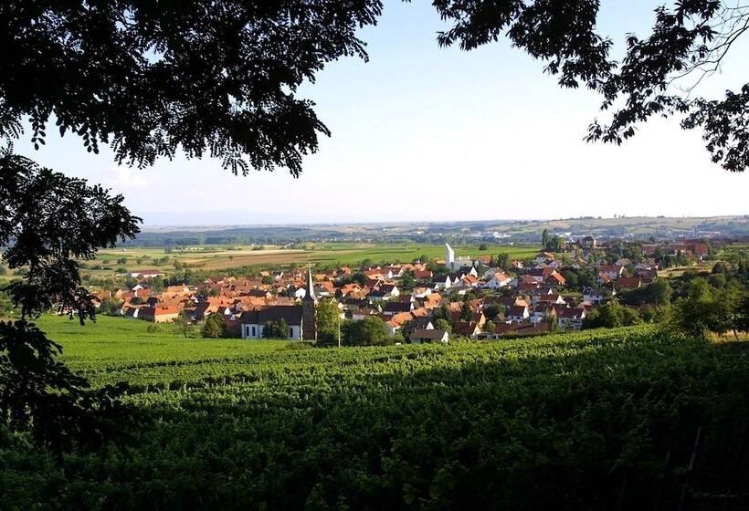 Amelie No 3 Hotel & Appartements