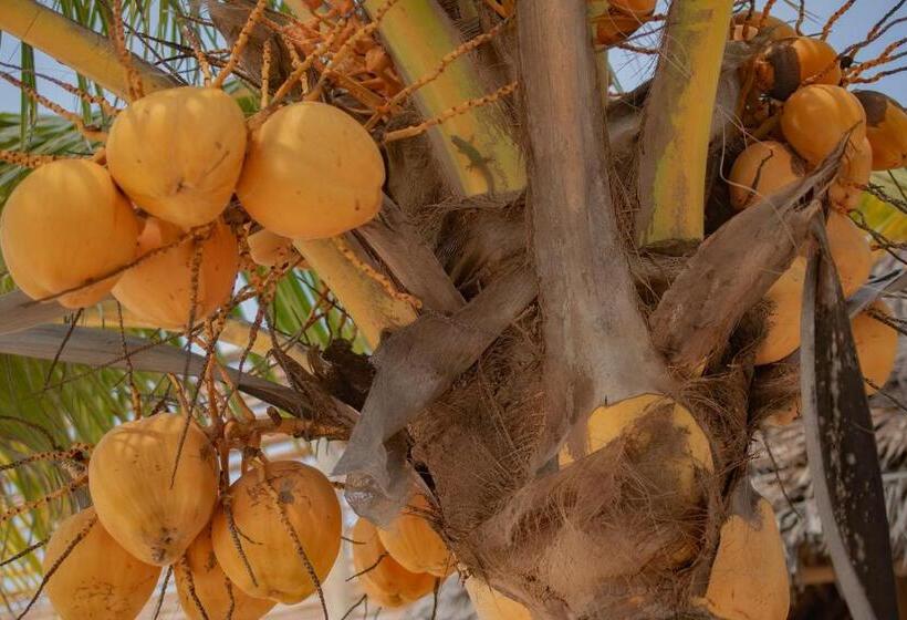 Ha Beach Hotel Zanzibar