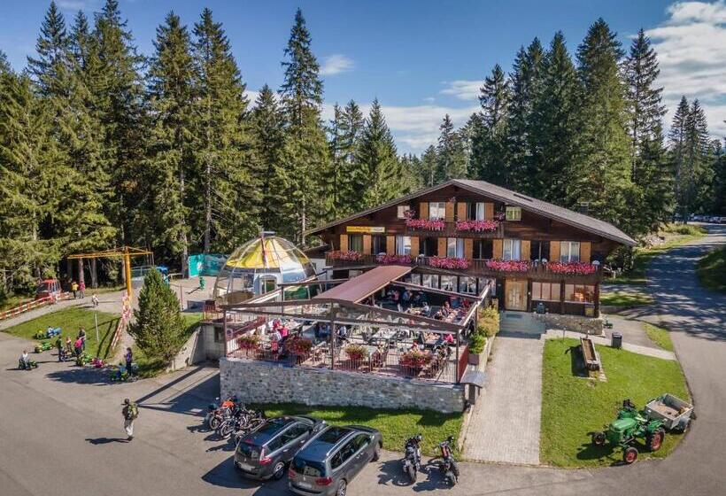 Hotel Mörlialp