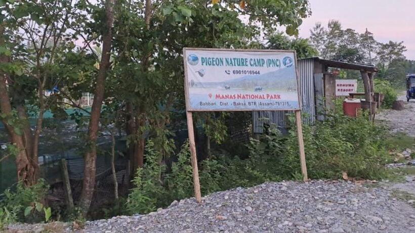 Hotel Pigeon Nature Camp