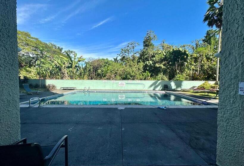 Ocean View Mauna Loa Shores Kai Ekahi #201 Next To Carlsmith Beach Park Hilo Hi