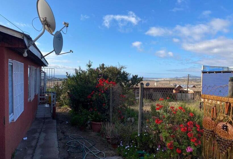 פנסיון Alojamiento Pichidangui