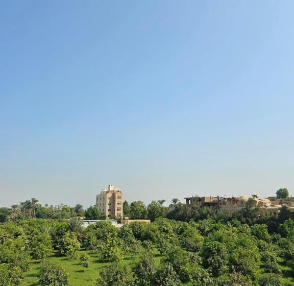 تختخواب و صبحانه Luxor Panorama