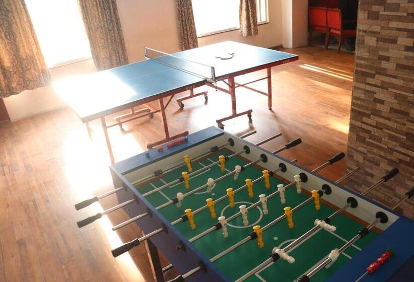 Отель C Suites   Lotus Park