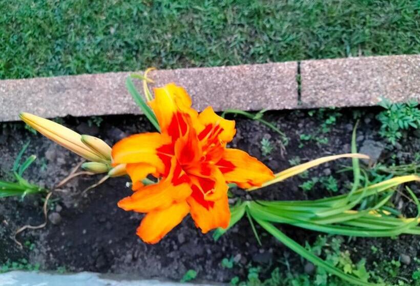 Hotel Finca Turística La Bahía