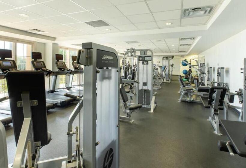 Marriott S Newport Coast Villas