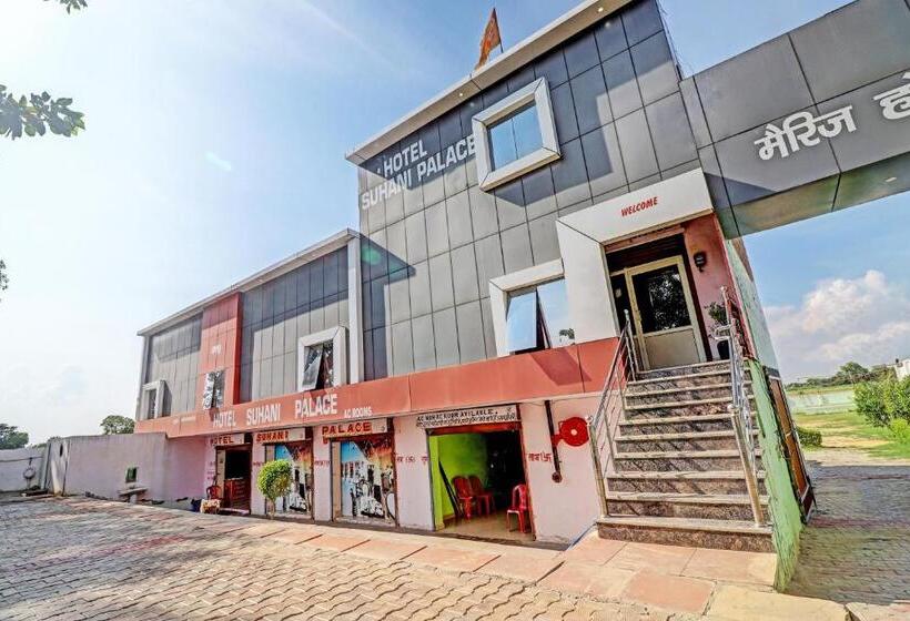 酒店 Suhani Palace