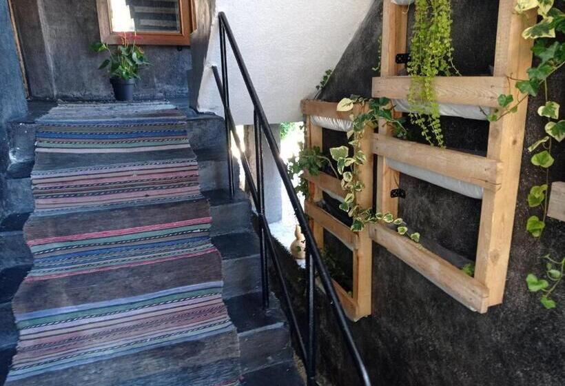 펜션 Princess Guesthouse