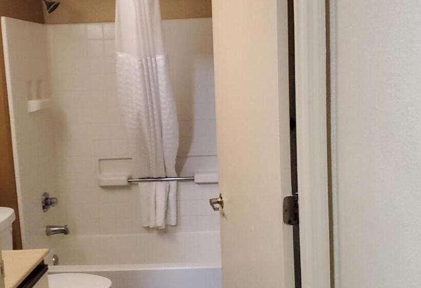 Spring Swallow Lodge