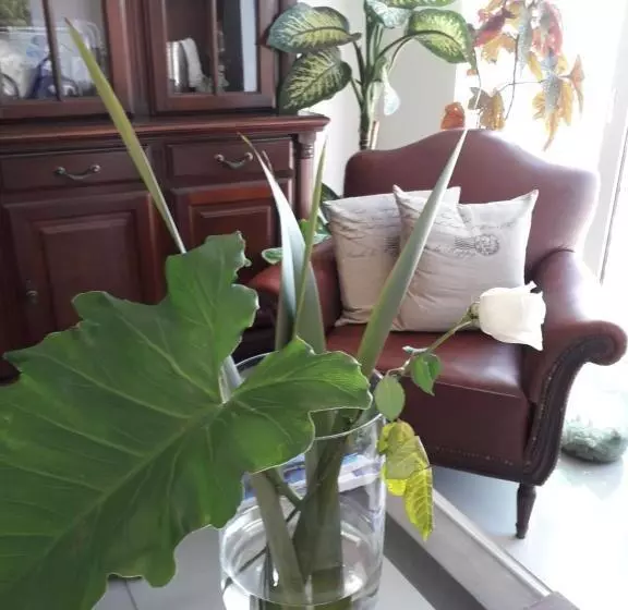 Retkeilymaja Baraka   Posada