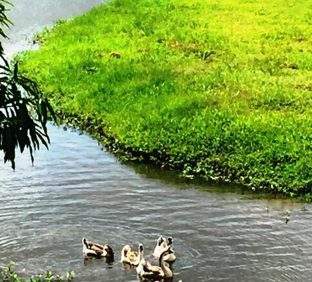 ホテル Fazenda Oásis