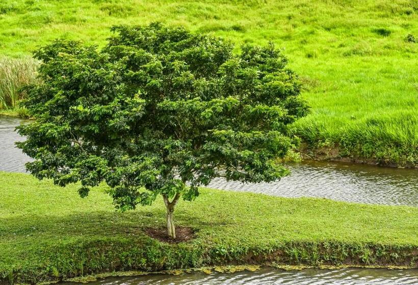 ホテル Fazenda Oásis