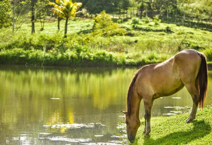 ホテル Fazenda Oásis