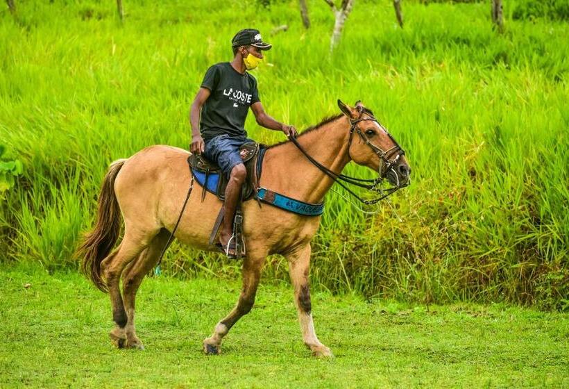 ホテル Fazenda Oásis