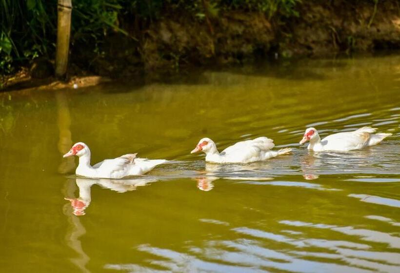 ホテル Fazenda Oásis