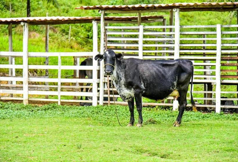 ホテル Fazenda Oásis