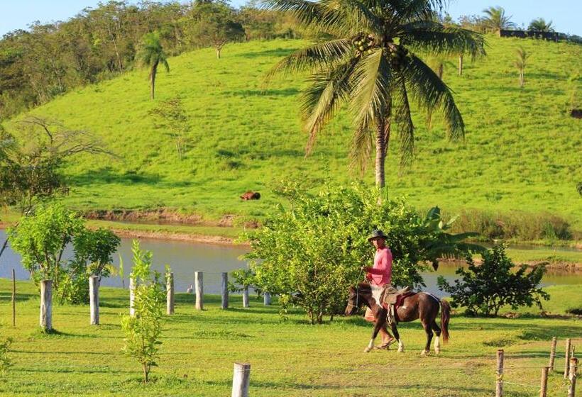 ホテル Fazenda Oásis