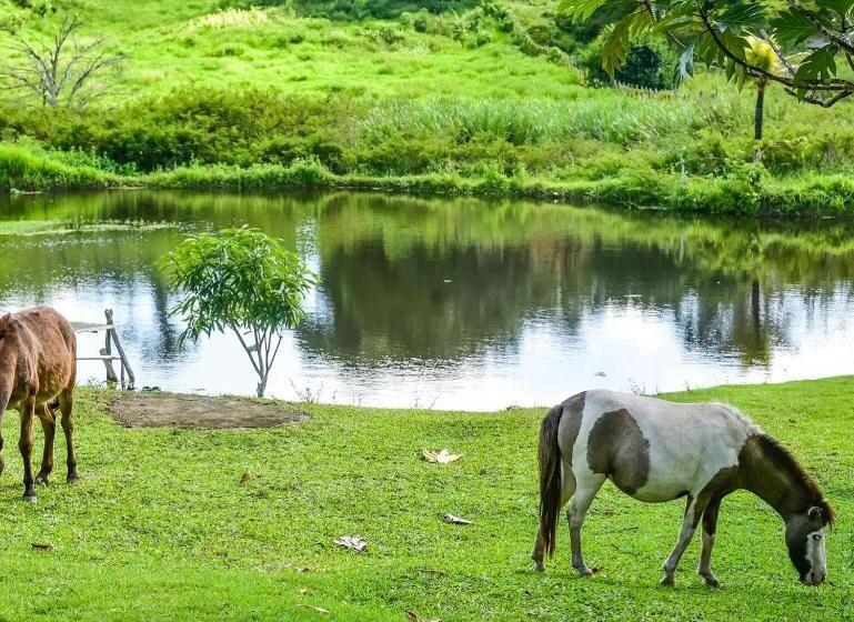 ホテル Fazenda Oásis
