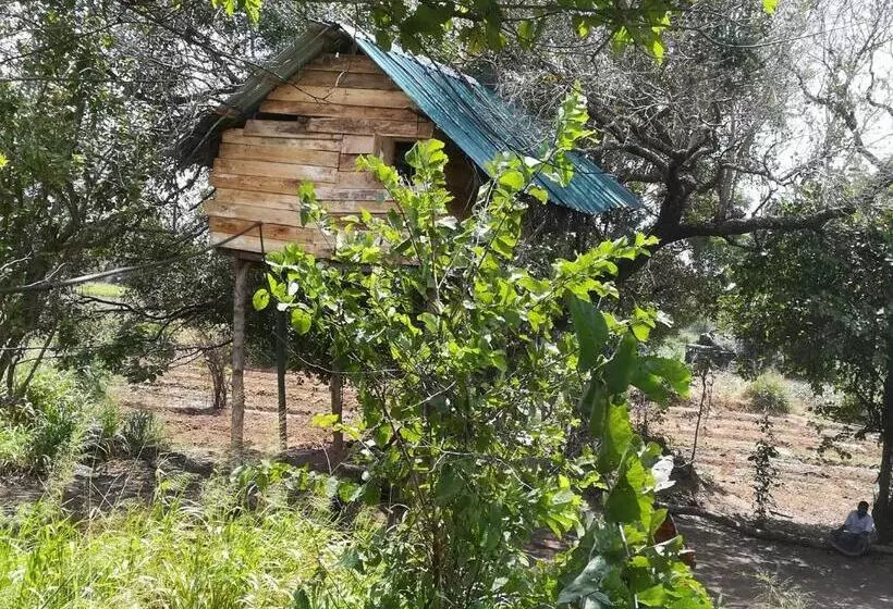 ホテル Habarana Eco Treehouse