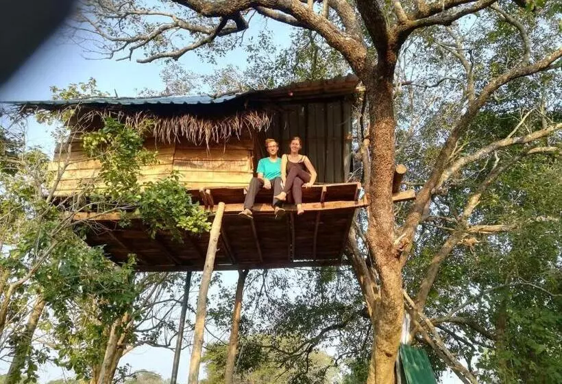 ホテル Habarana Eco Treehouse