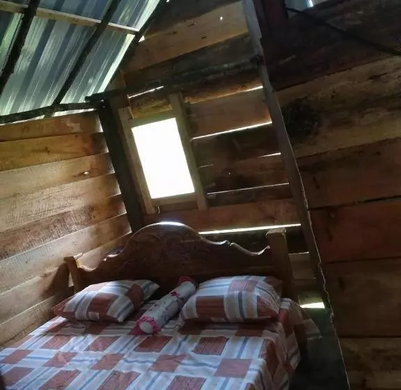 ホテル Habarana Eco Treehouse