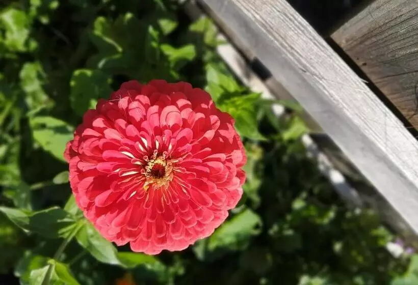 ホテル Saderhof