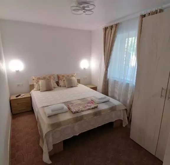 ペンション Apartament ștefi