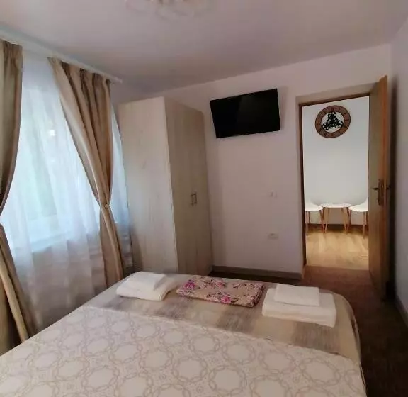 ペンション Apartament ștefi