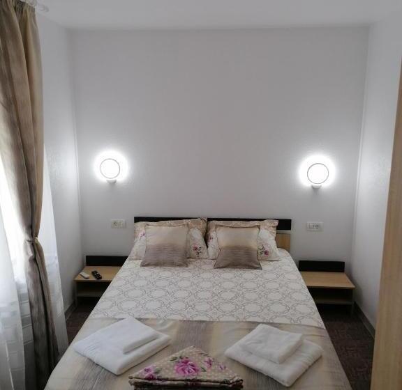 פנסיון Apartament ștefi