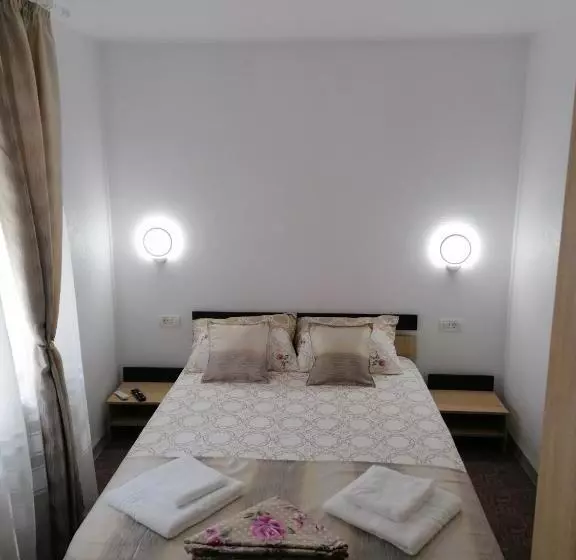 ペンション Apartament ștefi