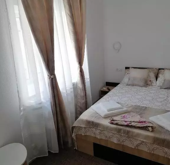 ペンション Apartament ștefi