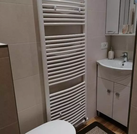 ペンション Apartament ștefi