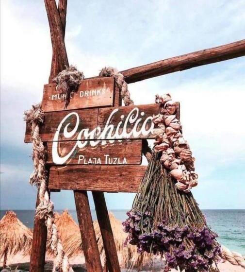 פנסיון Apartament ștefi