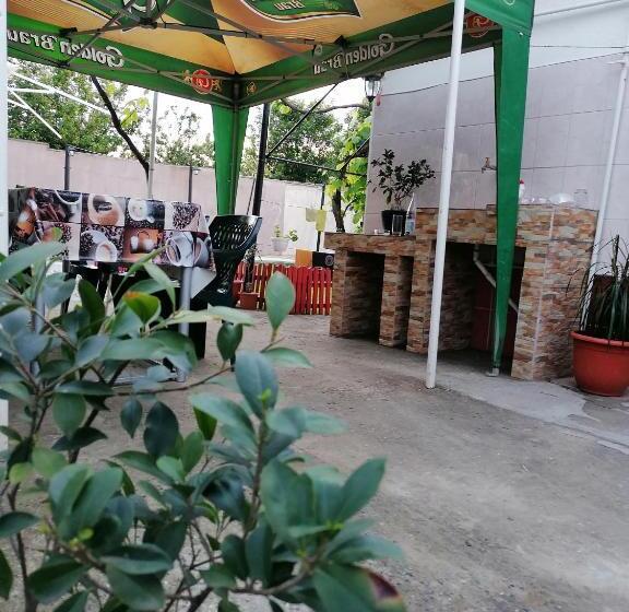 פנסיון Apartament ștefi