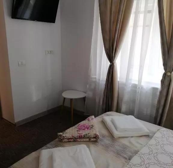 ペンション Apartament ștefi