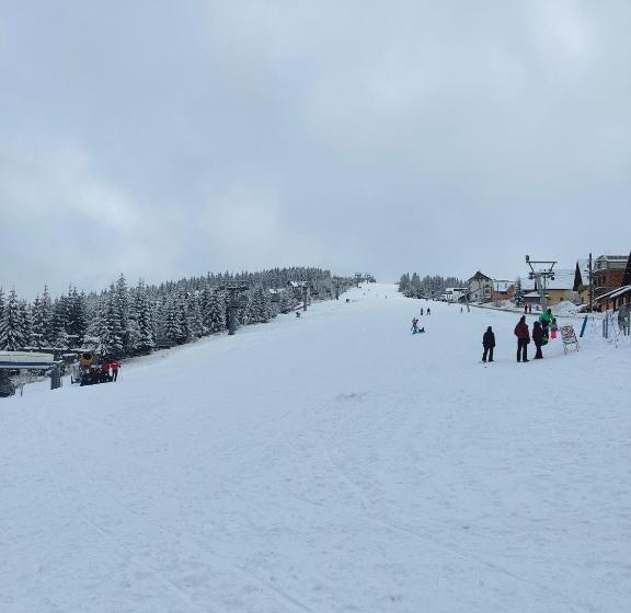 ペンション Cabana Rares