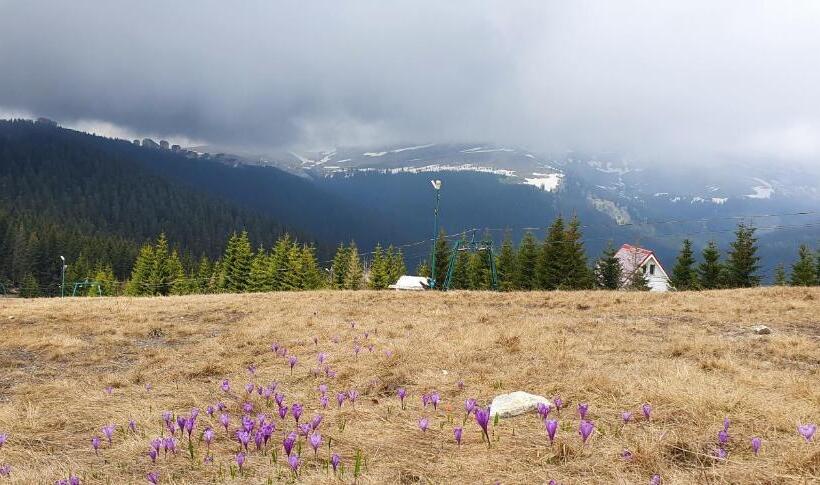 ペンション Cabana Rares