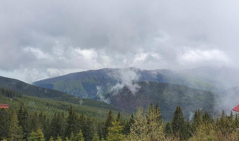 ペンション Cabana Rares